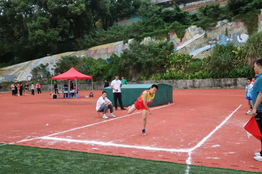 图片5